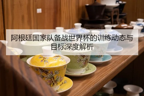 阿根廷国家队备战世界杯的训练动态与目标深度解析